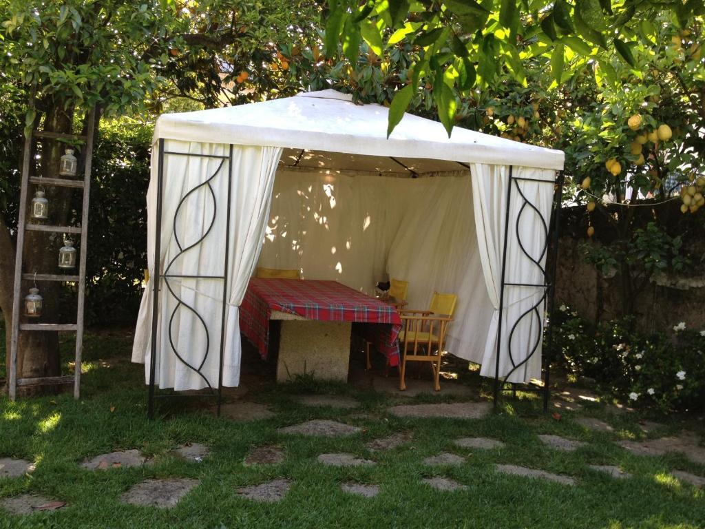 Casa Do Pinheiro - Turismo De Habitacao Hotel Ponte de Lima Zewnętrze zdjęcie