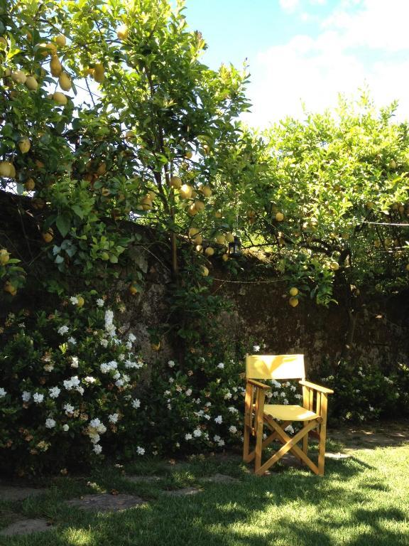Casa Do Pinheiro - Turismo De Habitacao Hotel Ponte de Lima Zewnętrze zdjęcie